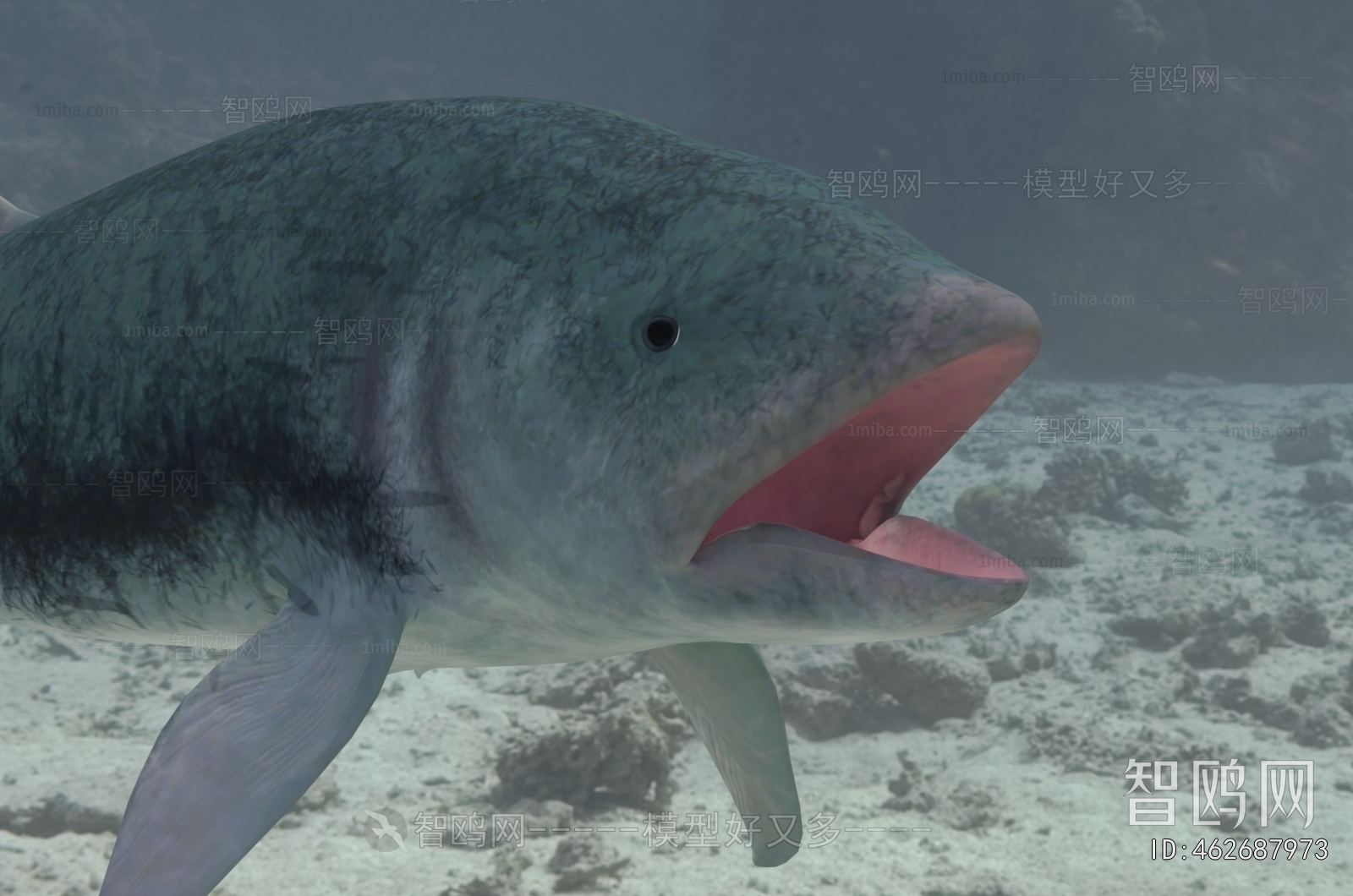 Modern Aquatic Animals