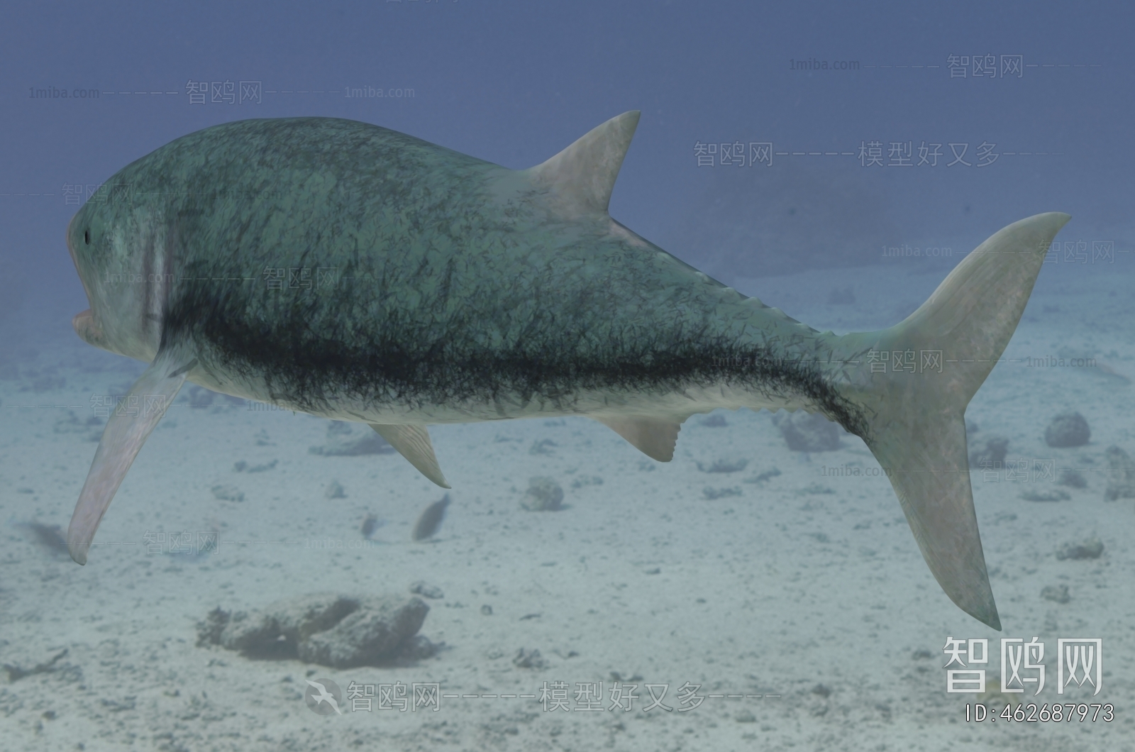 Modern Aquatic Animals