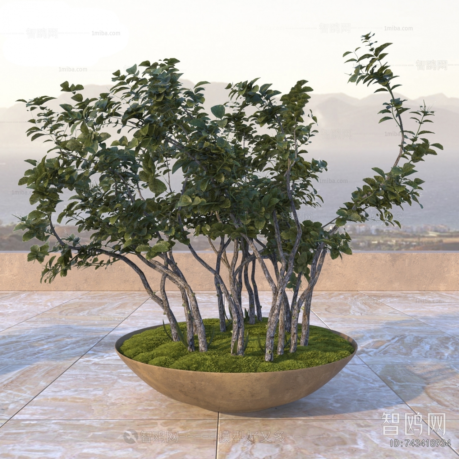 Modern Flower Bed, Flower Bowl, Flower Box