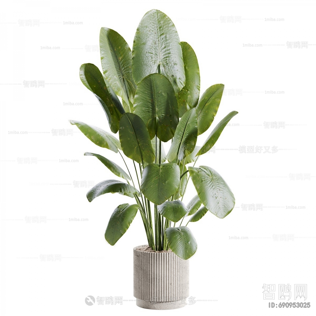Modern Ground Green Plant Potted Plants