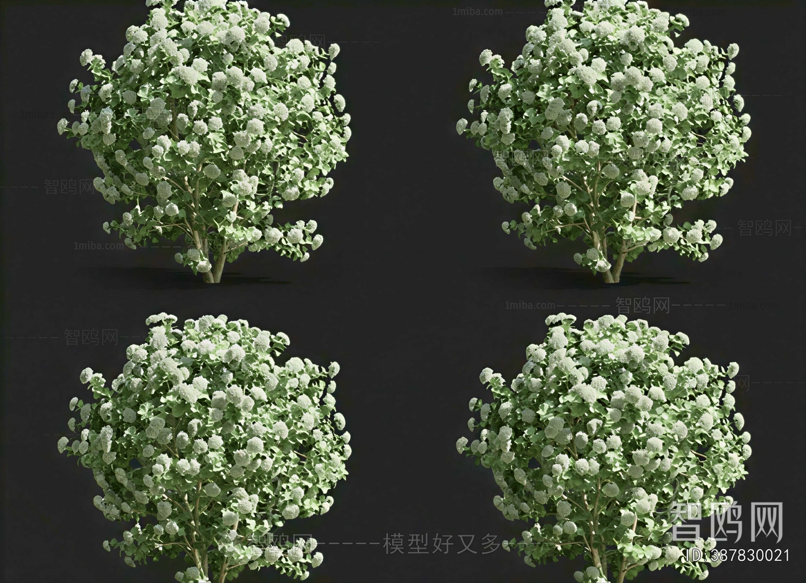 Modern Shrubbery