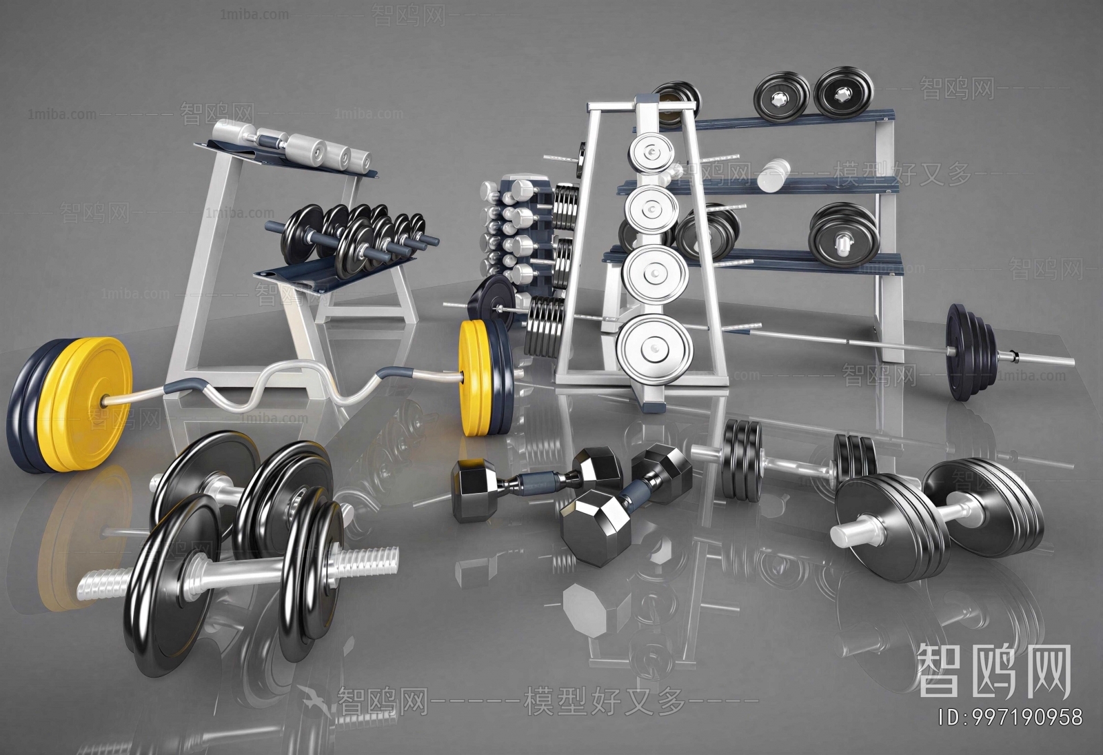Modern Fitness Equipment