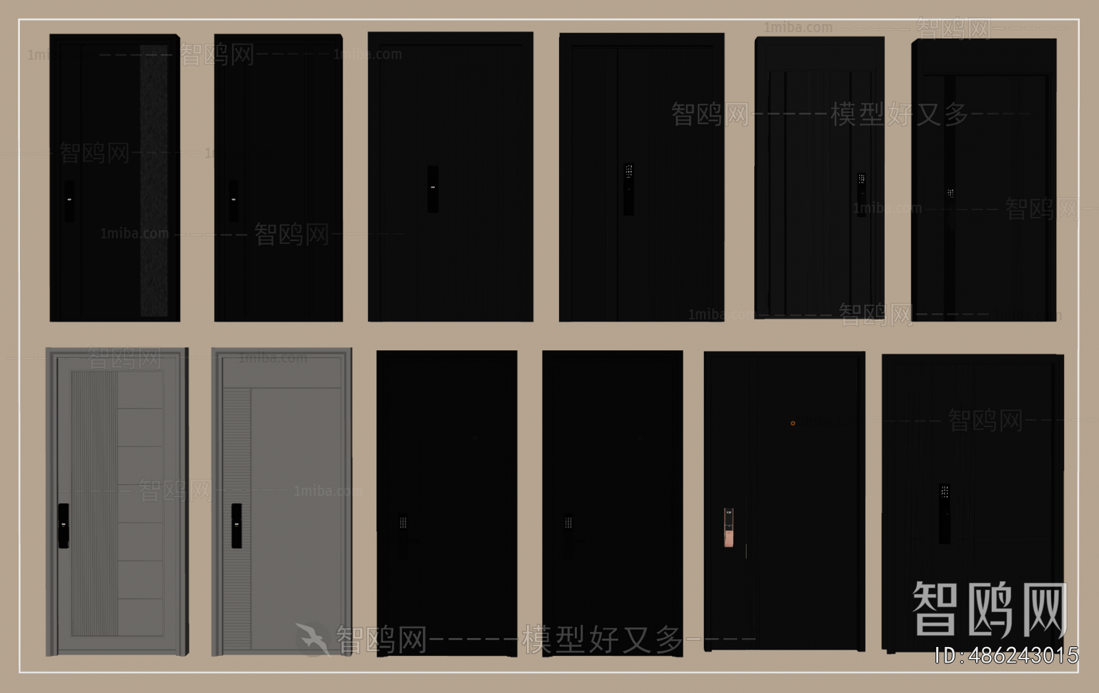 Modern Entrance Door