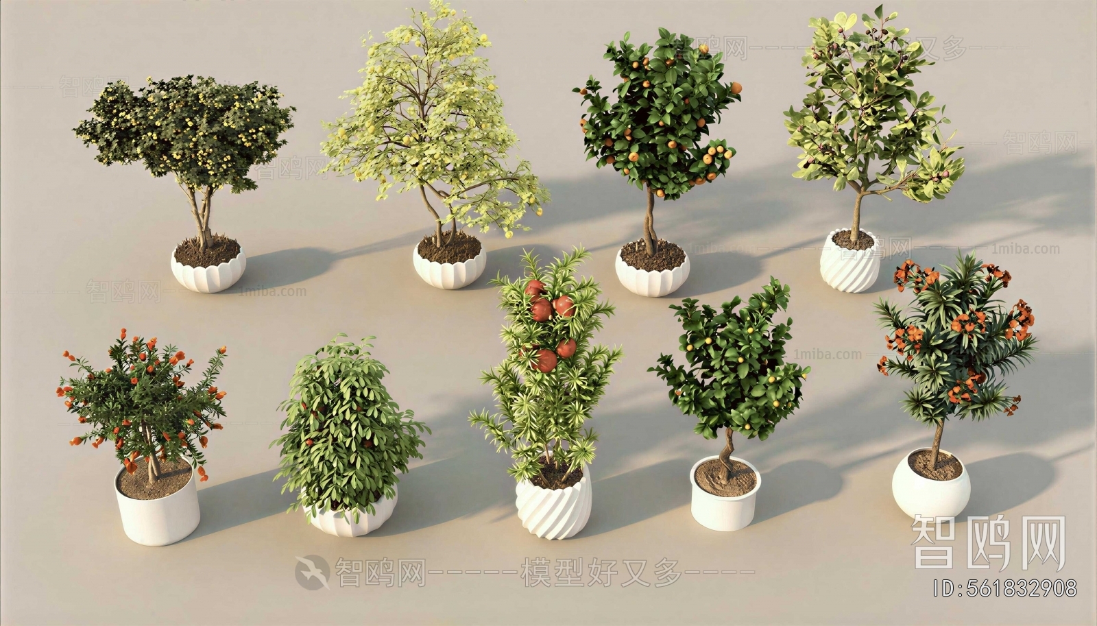 Modern Ground Green Plant Potted Plants