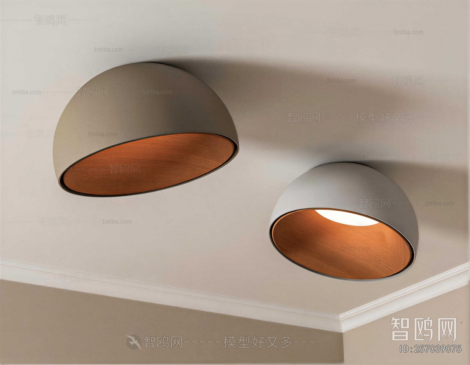 Modern Ceiling Ceiling Lamp