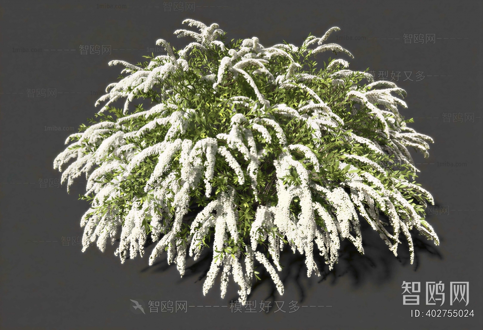 Modern Shrubbery