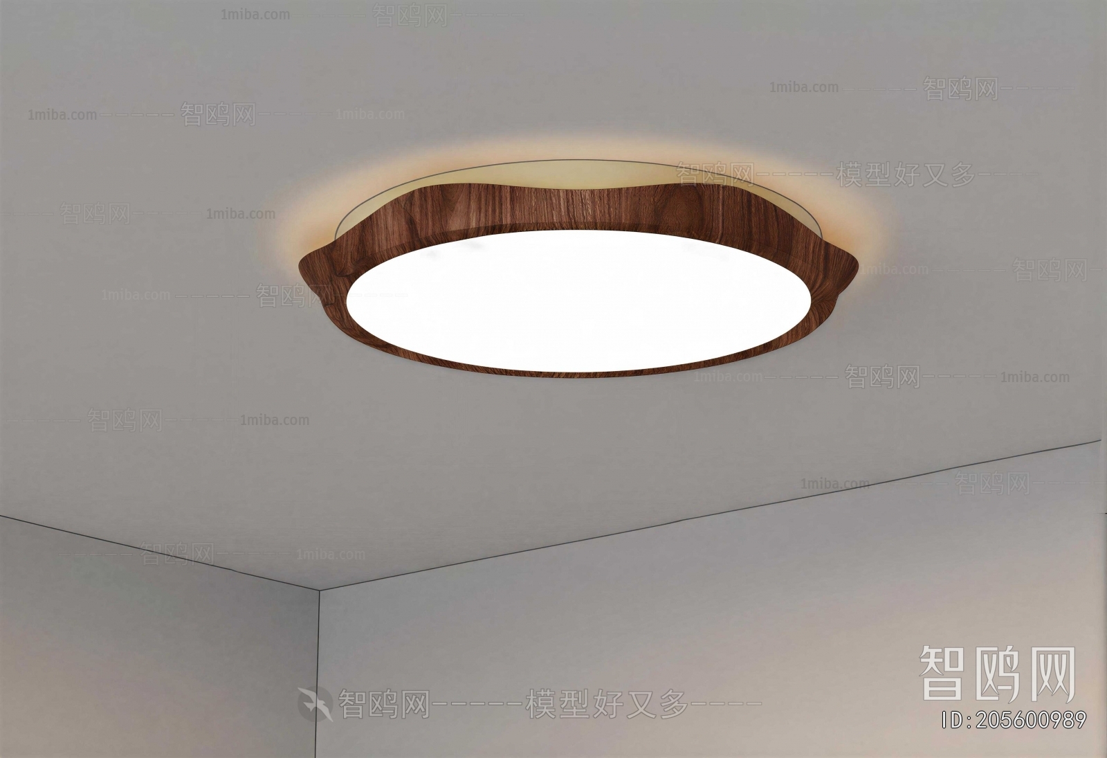 Modern Ceiling Ceiling Lamp