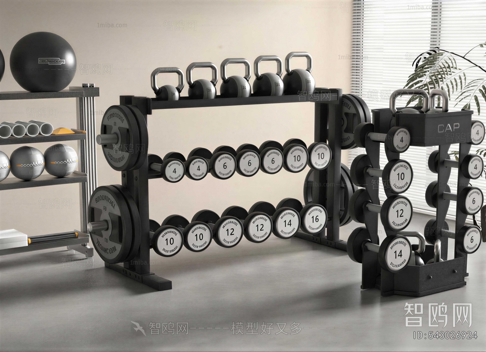 Modern Fitness Equipment