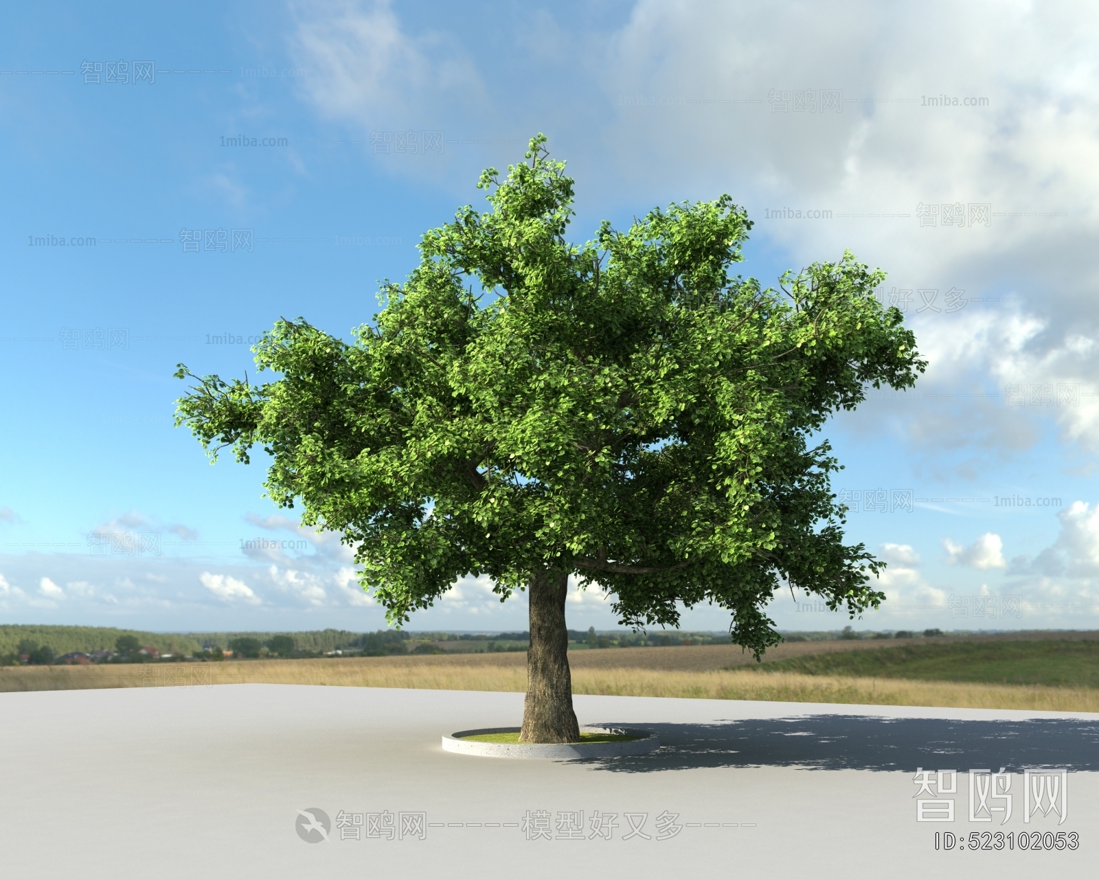 Modern Tree