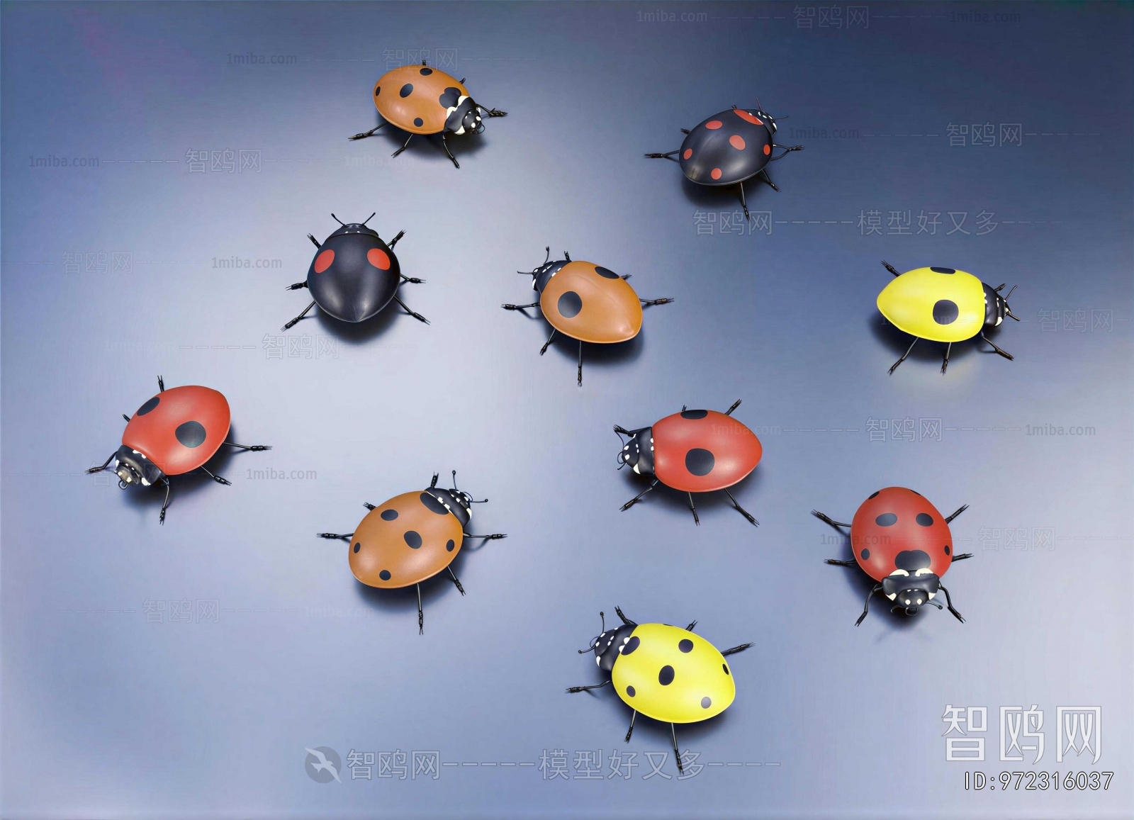 Modern Other Animals