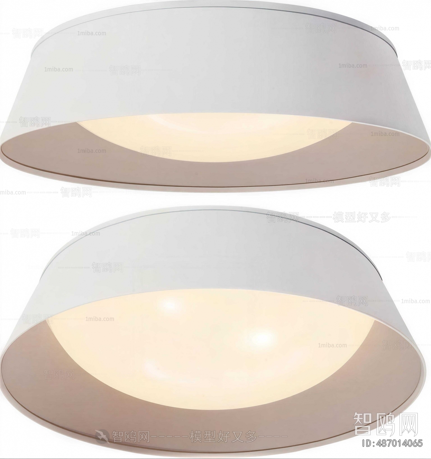 Modern Ceiling Ceiling Lamp