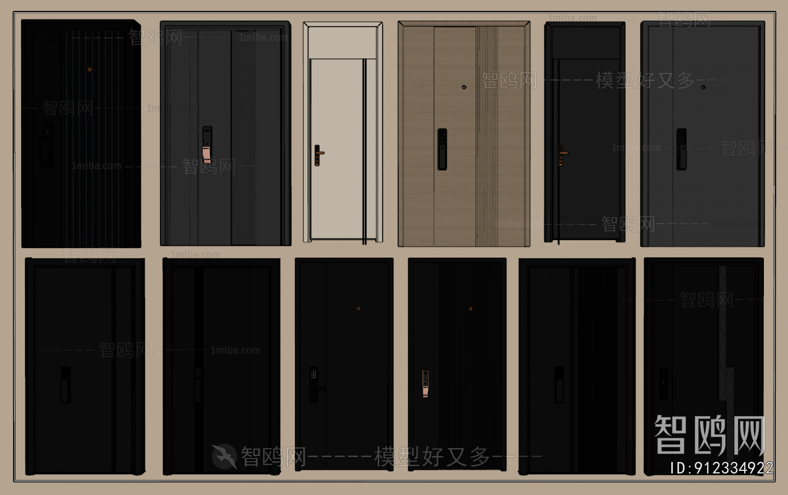 Modern Entrance Door
