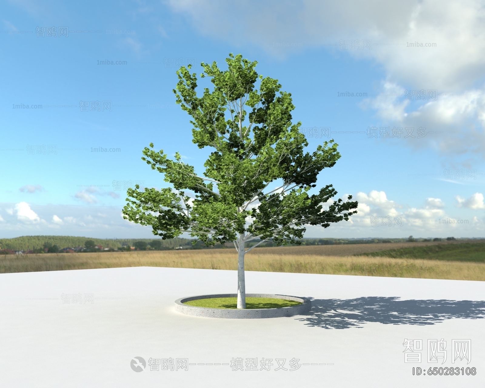 Modern Tree