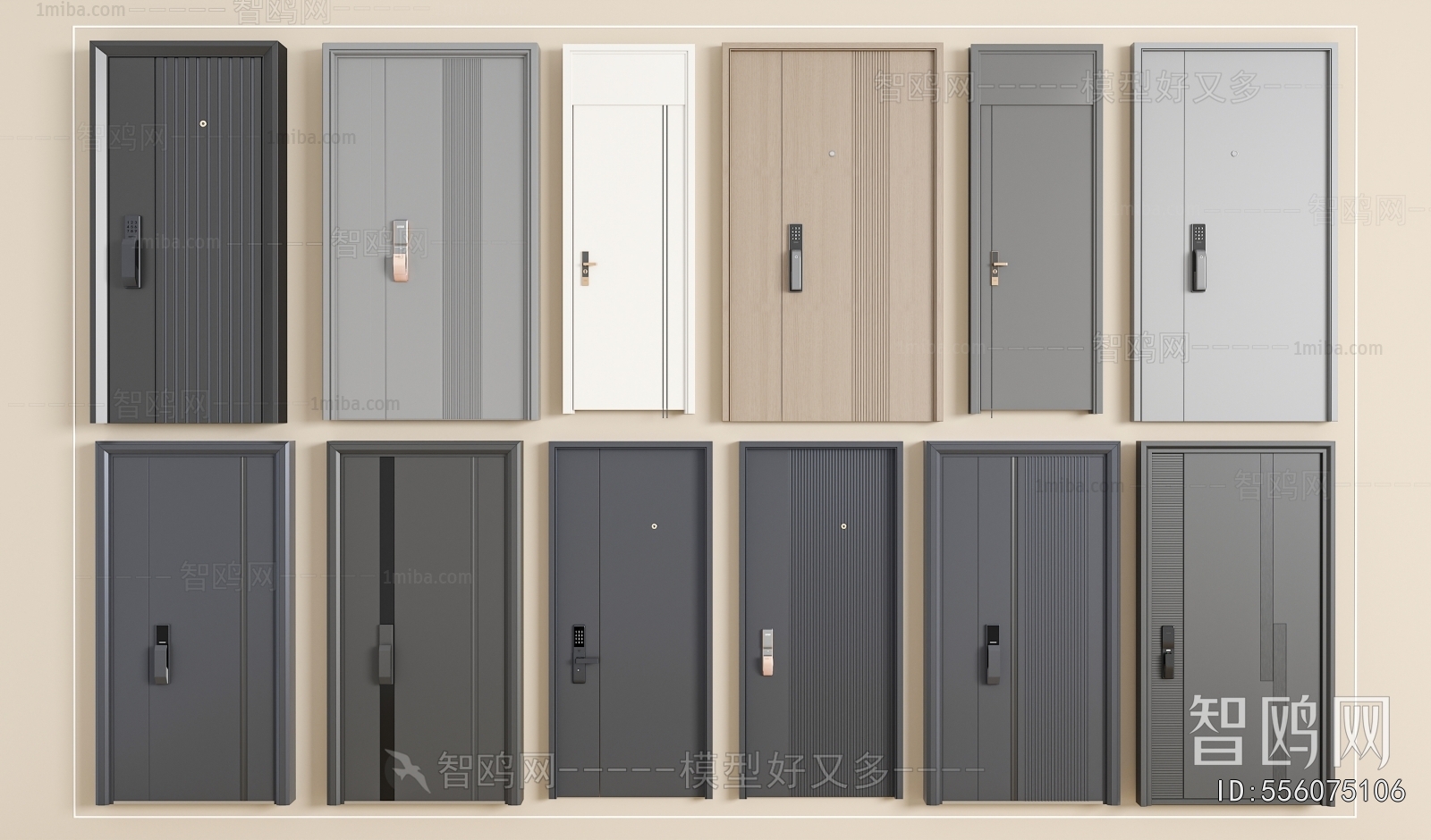 Modern Entrance Door