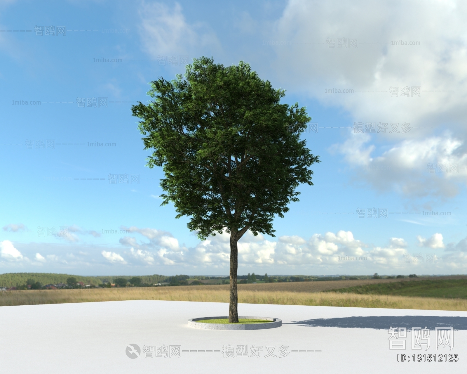 Modern Tree
