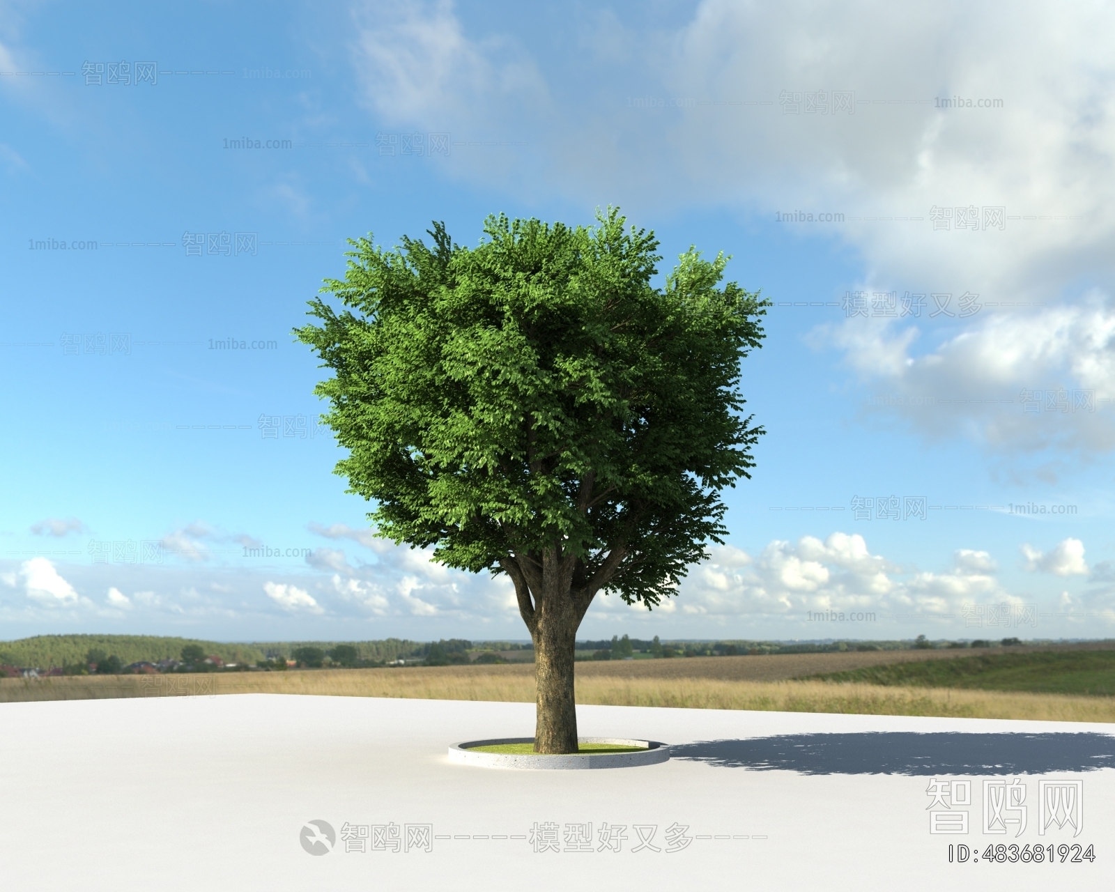 Modern Tree