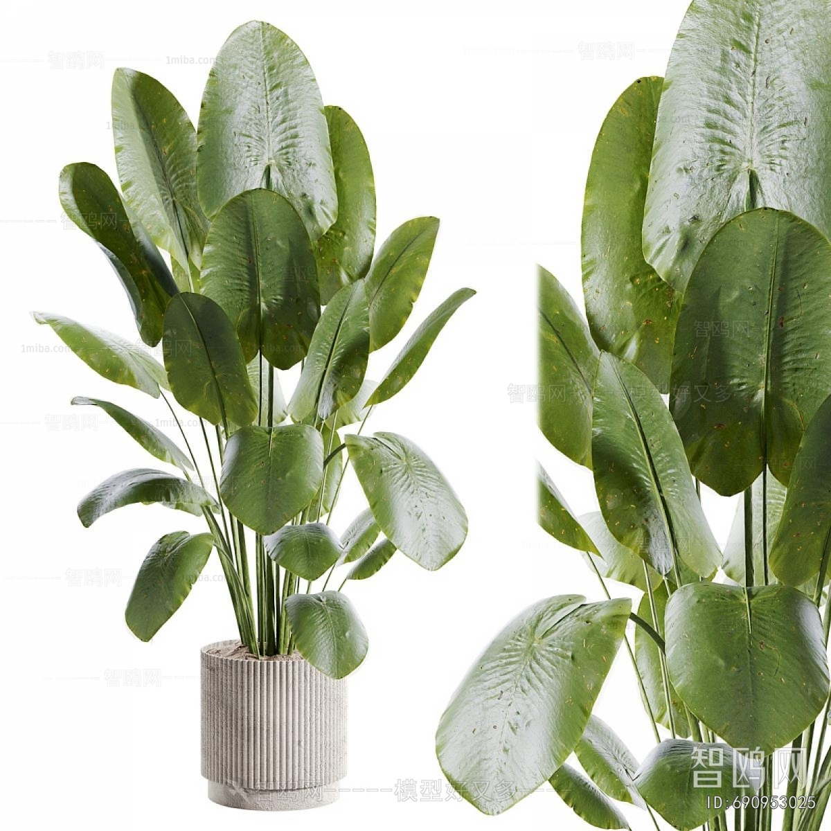 Modern Ground Green Plant Potted Plants