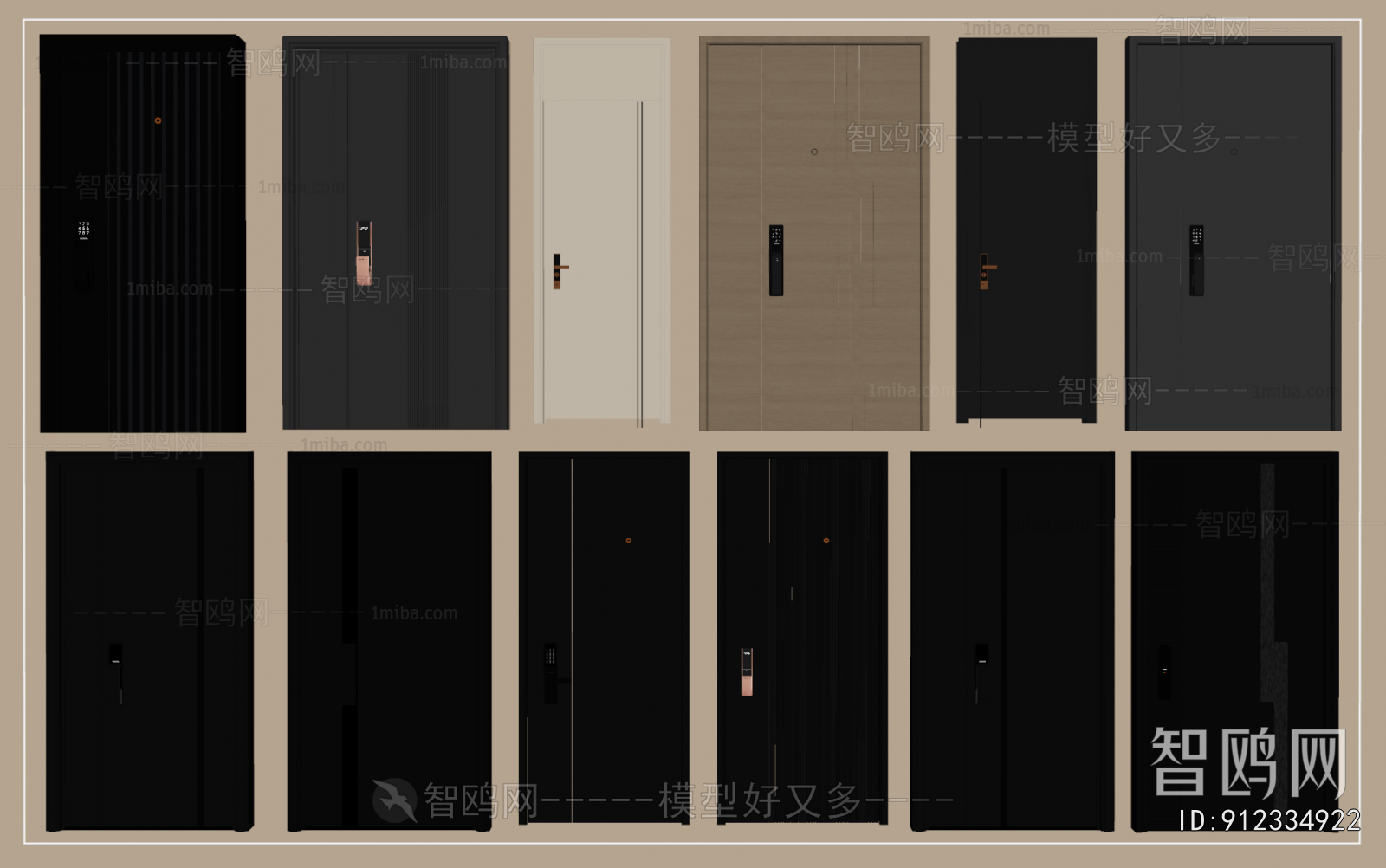 Modern Entrance Door