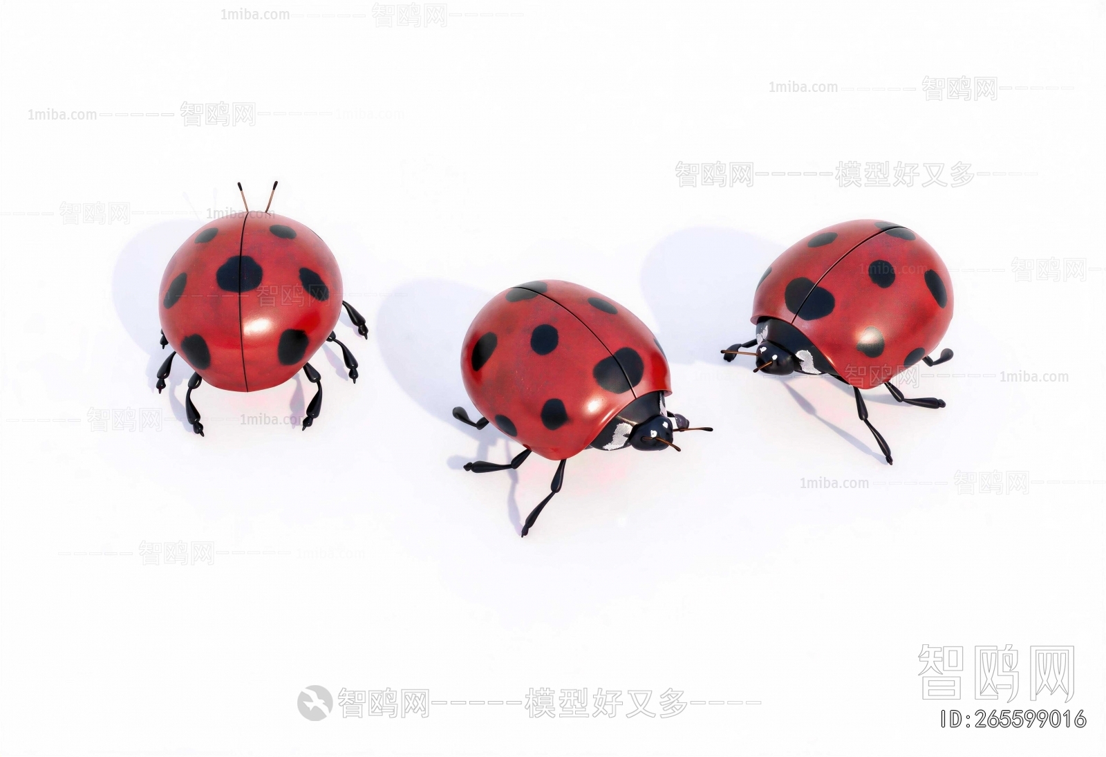 Modern Other Animals