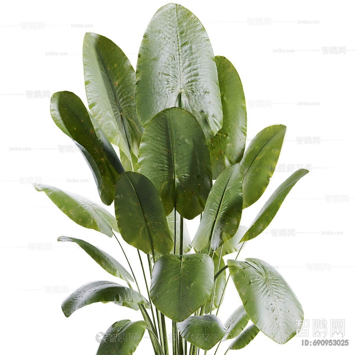Modern Ground Green Plant Potted Plants