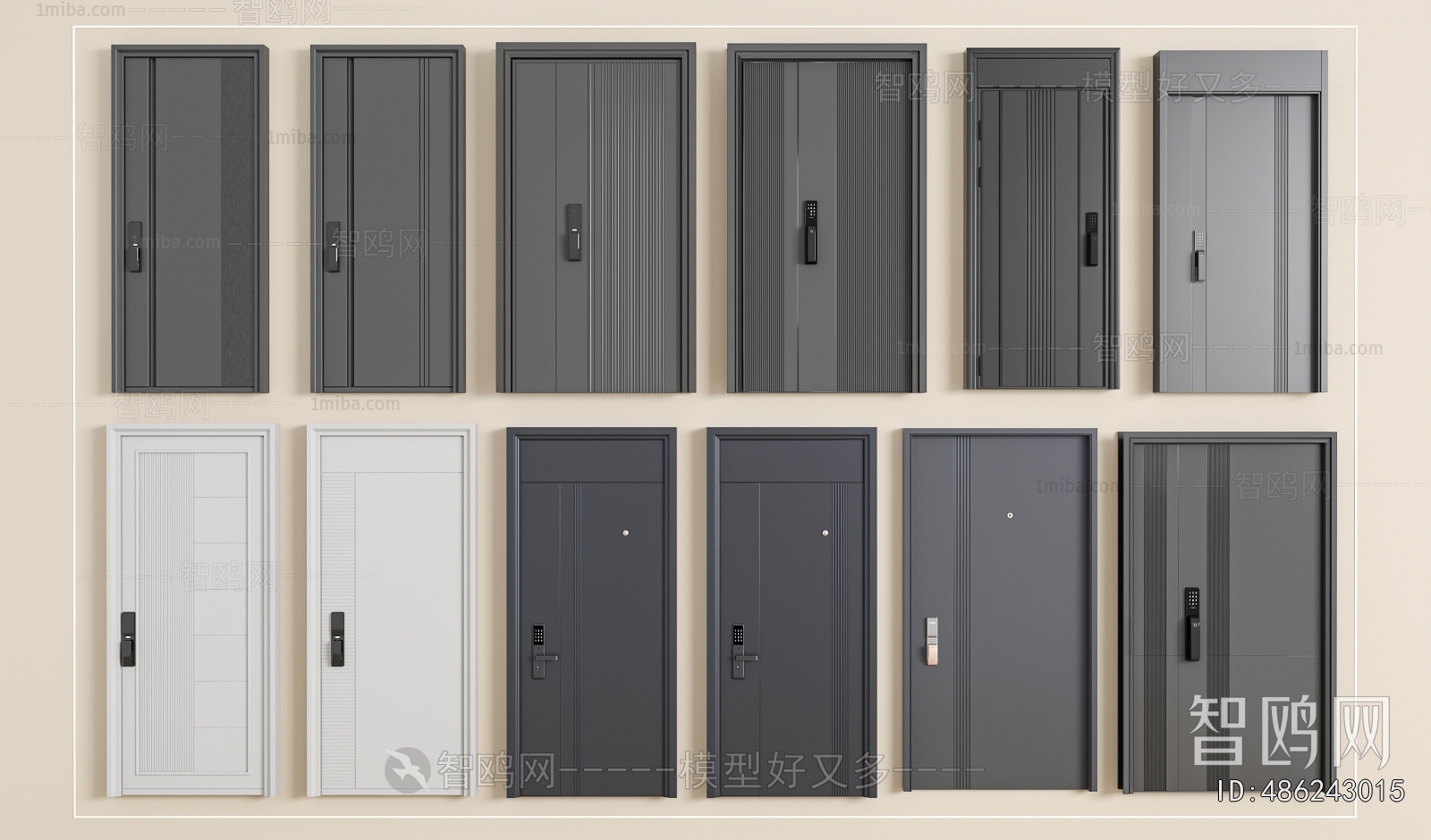Modern Entrance Door