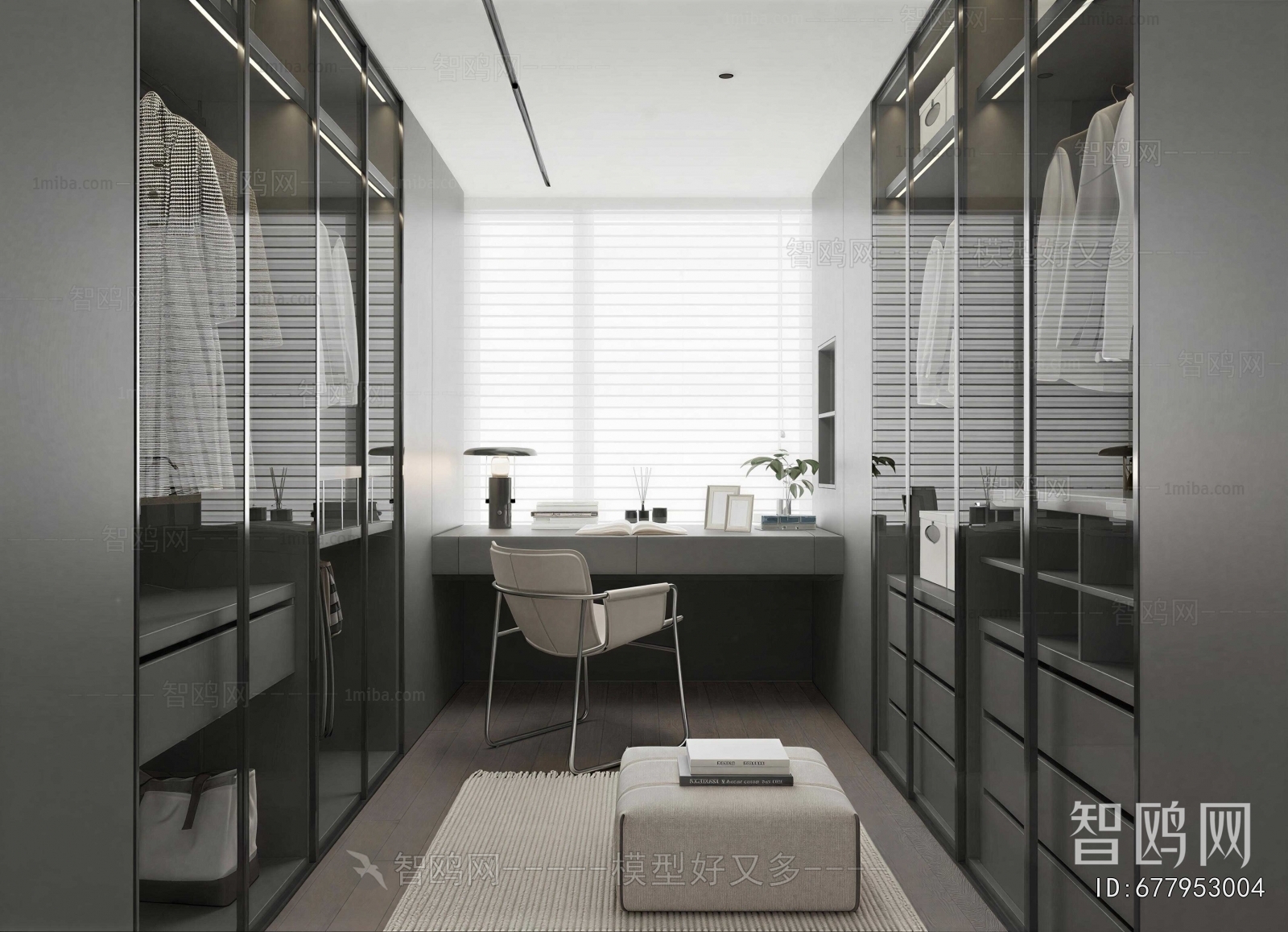 Modern Clothes Storage Area
