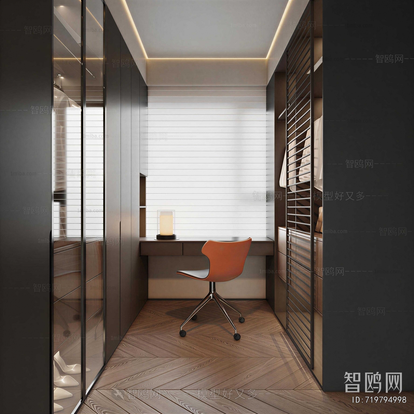Modern Clothes Storage Area