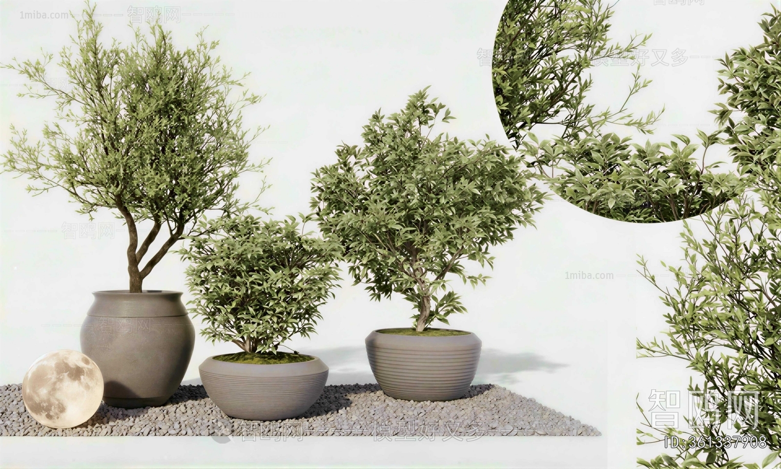 Modern Ground Green Plant Potted Plants