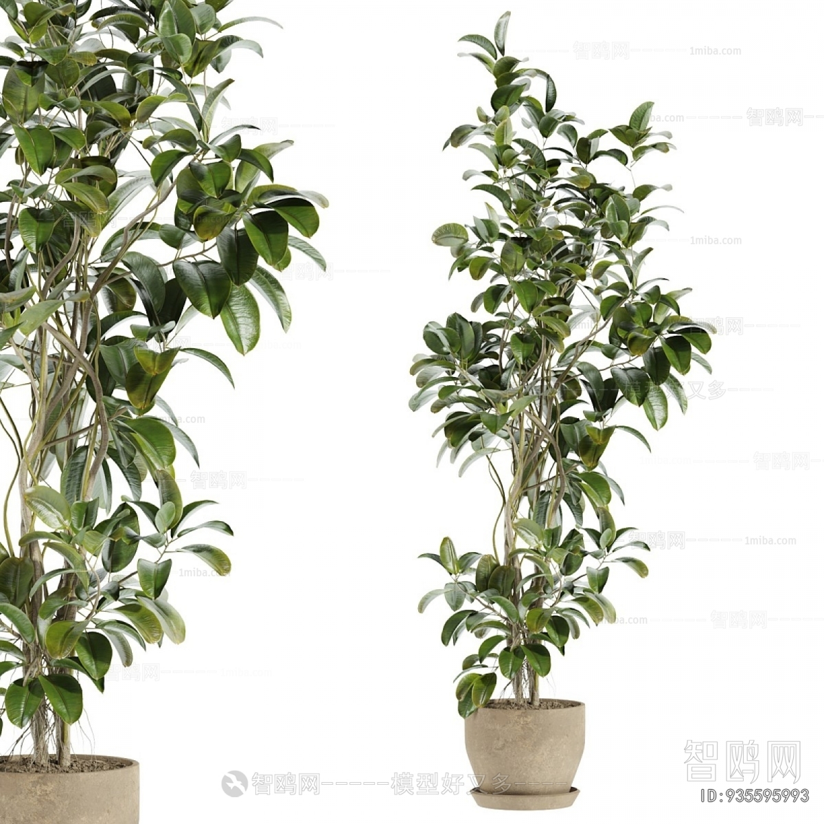 Modern Ground Green Plant Potted Plants