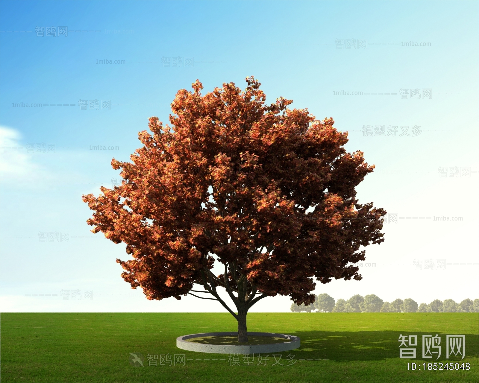 Modern Tree/shrub/grass