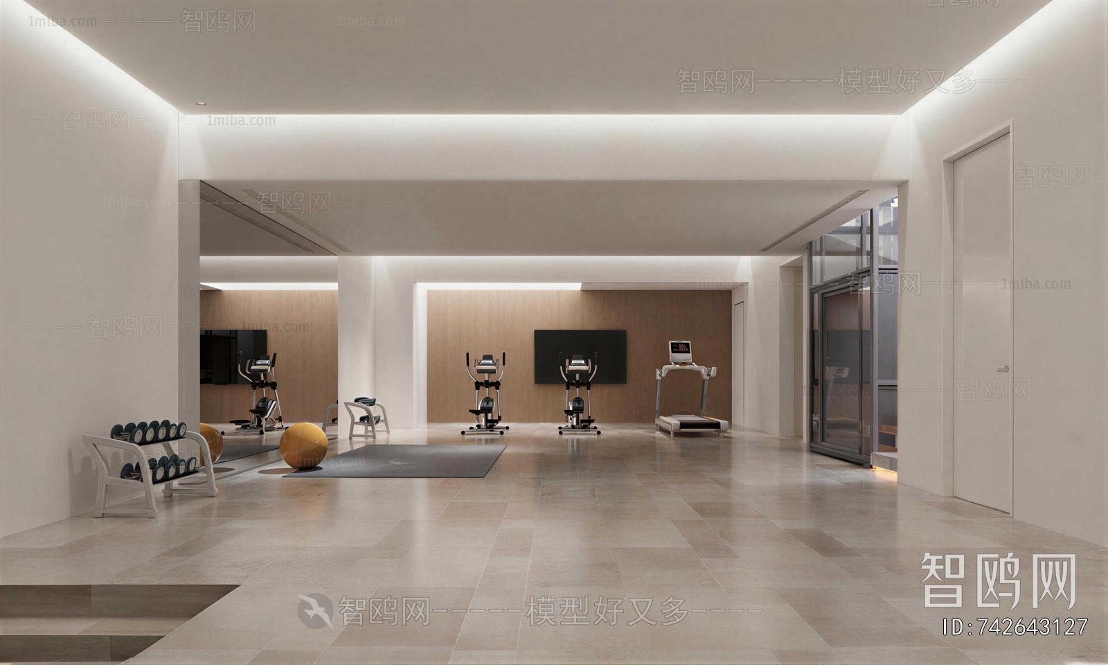 Modern Home Fitness Room
