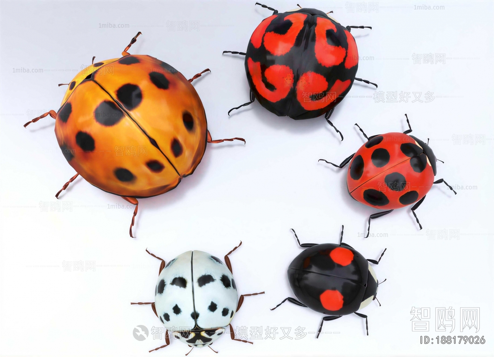 Modern Other Animals