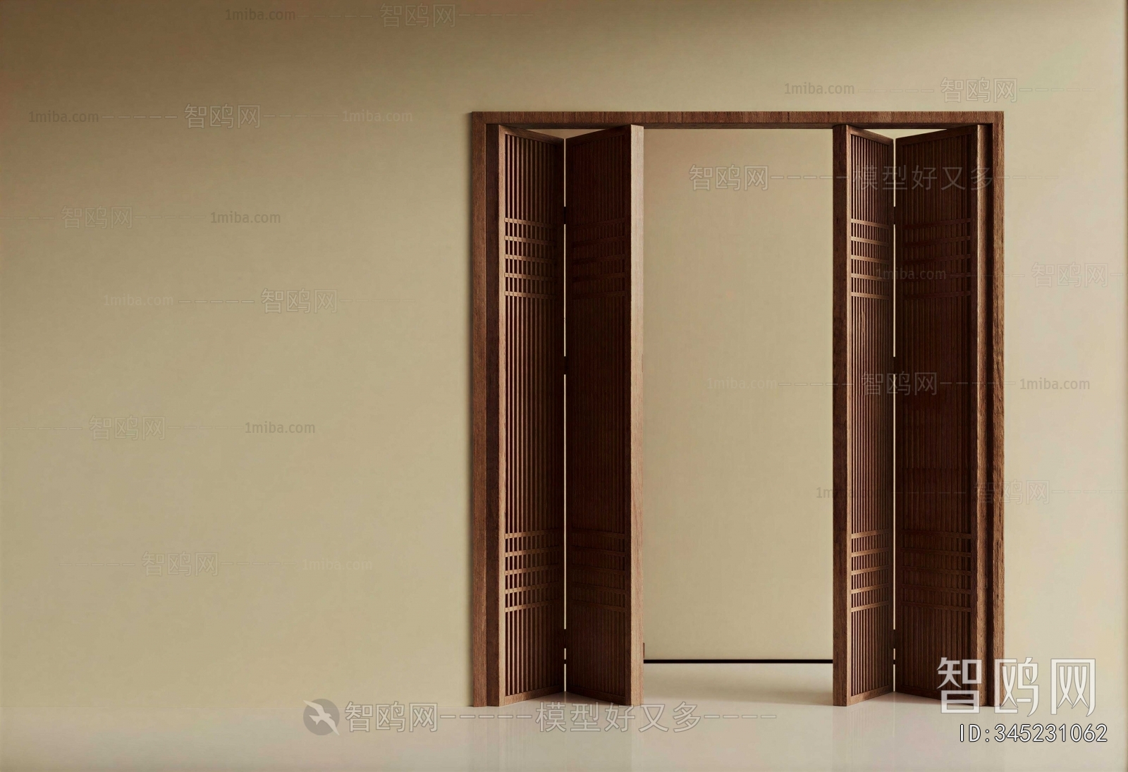 Modern Door