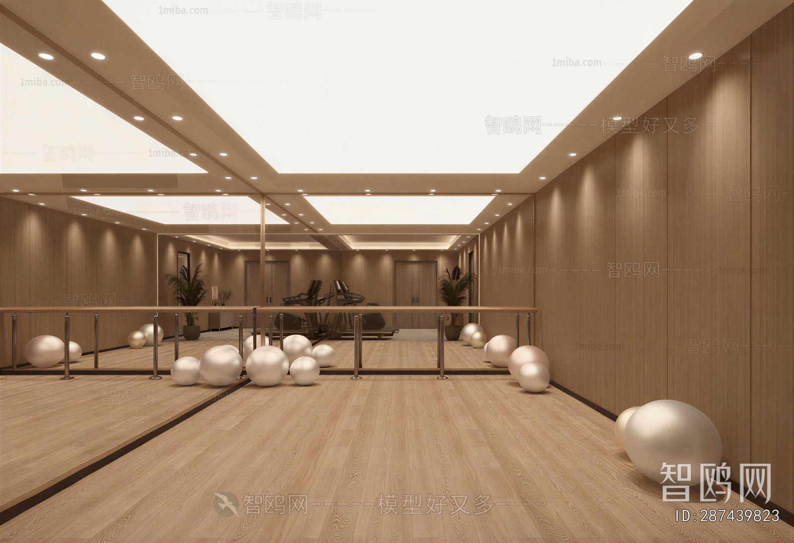 Modern Yoga Room