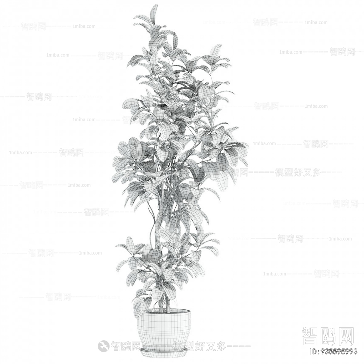 Modern Ground Green Plant Potted Plants