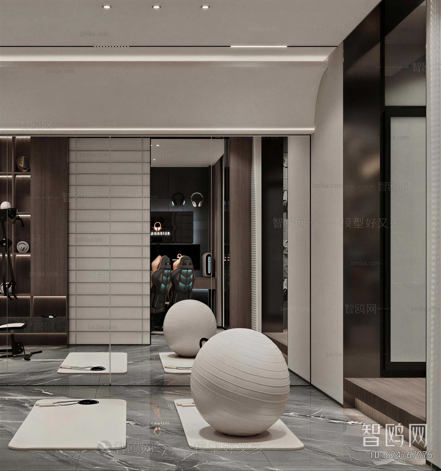 Modern Home Fitness Room
