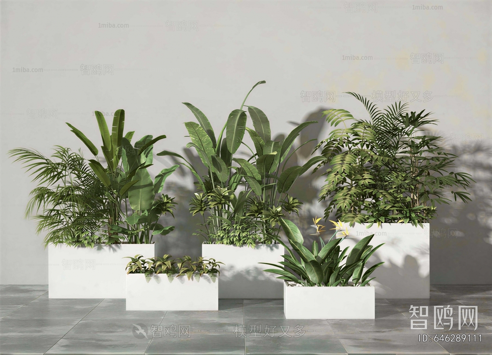 Modern Flower Bed, Flower Bowl, Flower Box