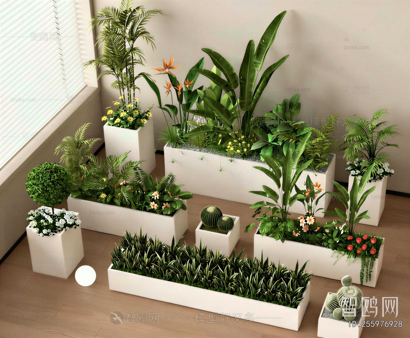 Modern Flower Bed, Flower Bowl, Flower Box