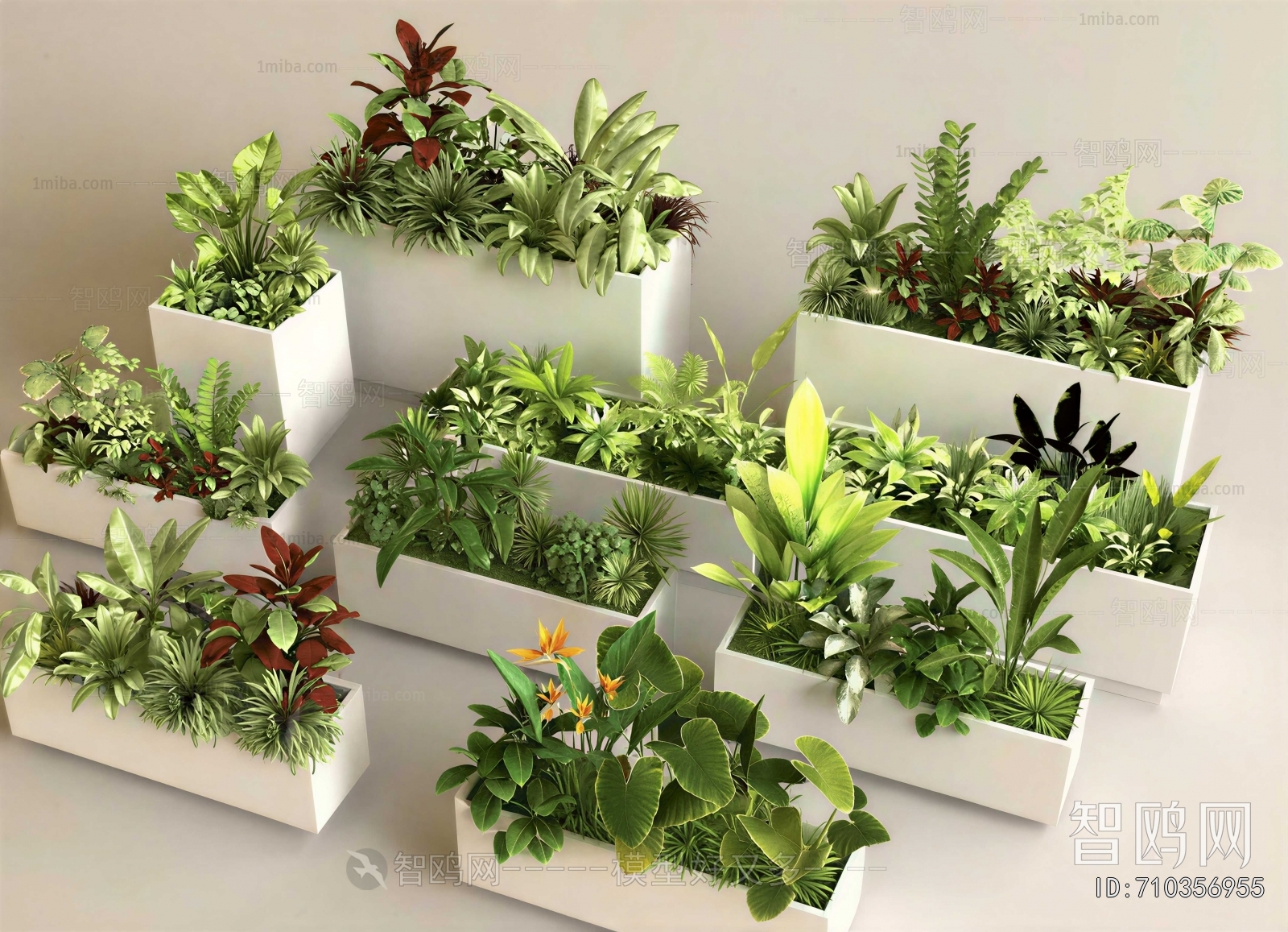Modern Flower Bed, Flower Bowl, Flower Box