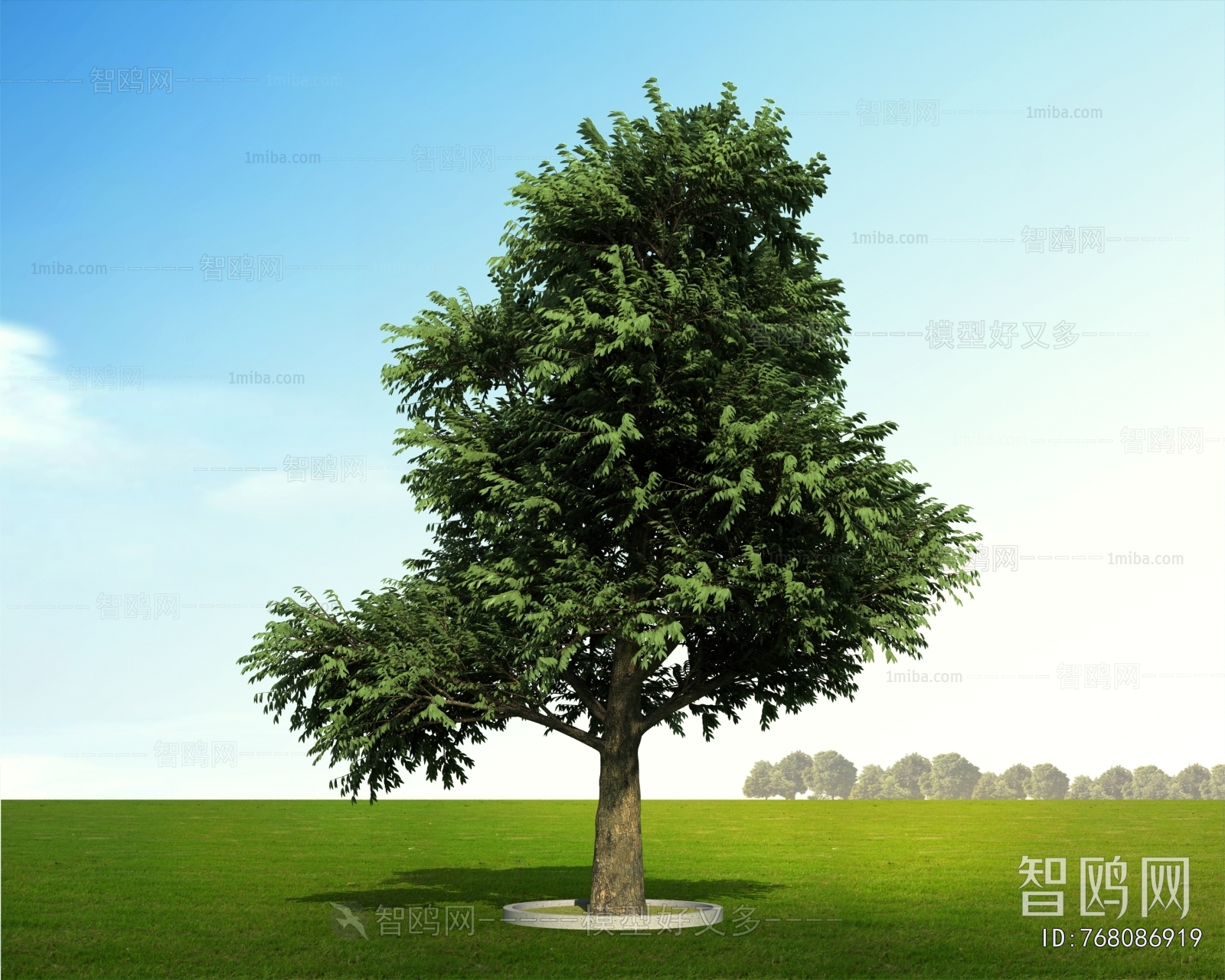 Modern Tree