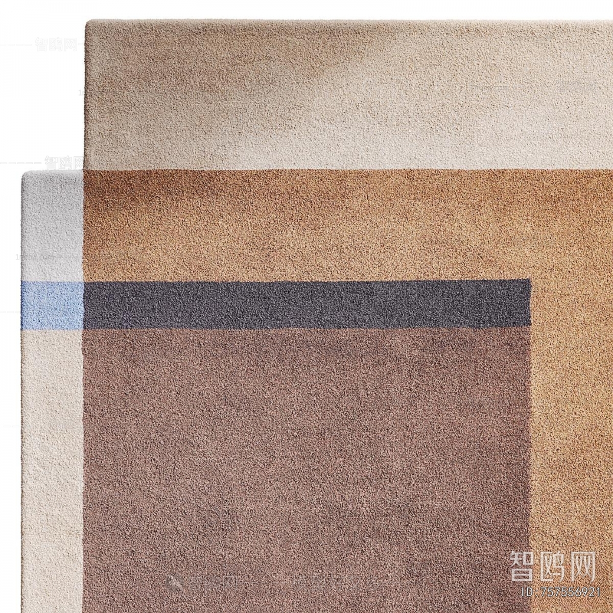 Modern The Carpet