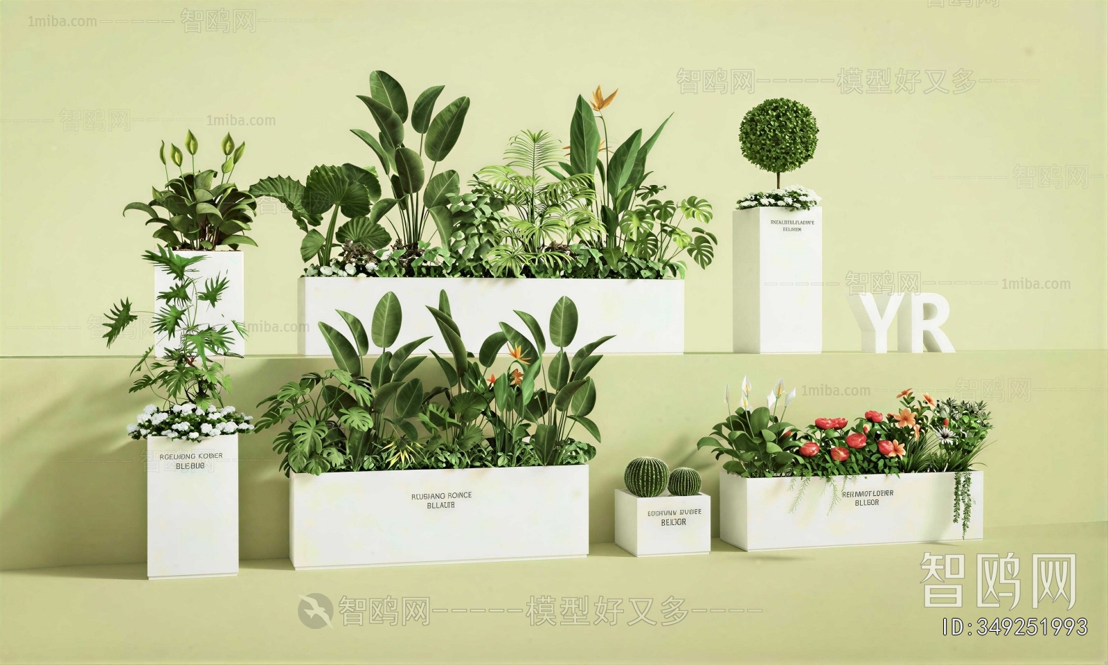 Modern Flower Bed, Flower Bowl, Flower Box