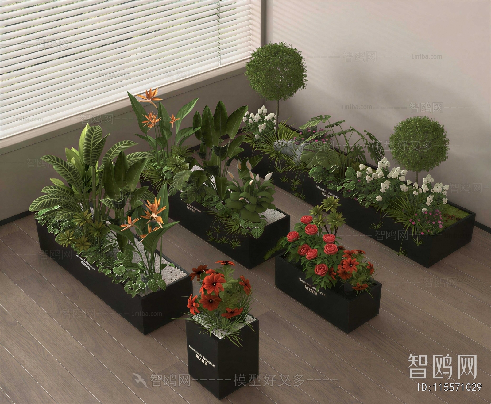 Modern Flower Bed, Flower Bowl, Flower Box