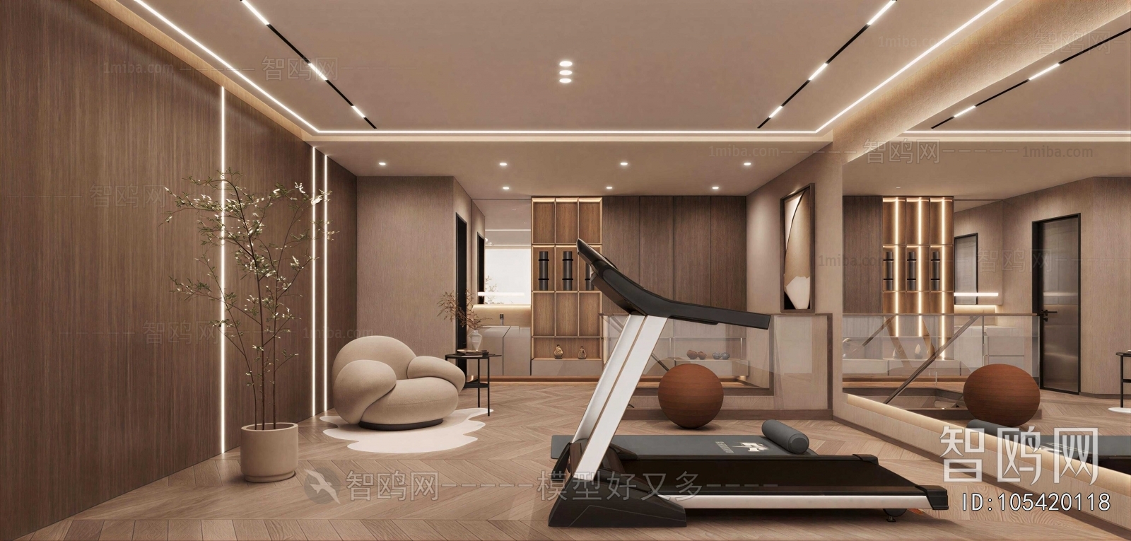 Modern Home Fitness Room