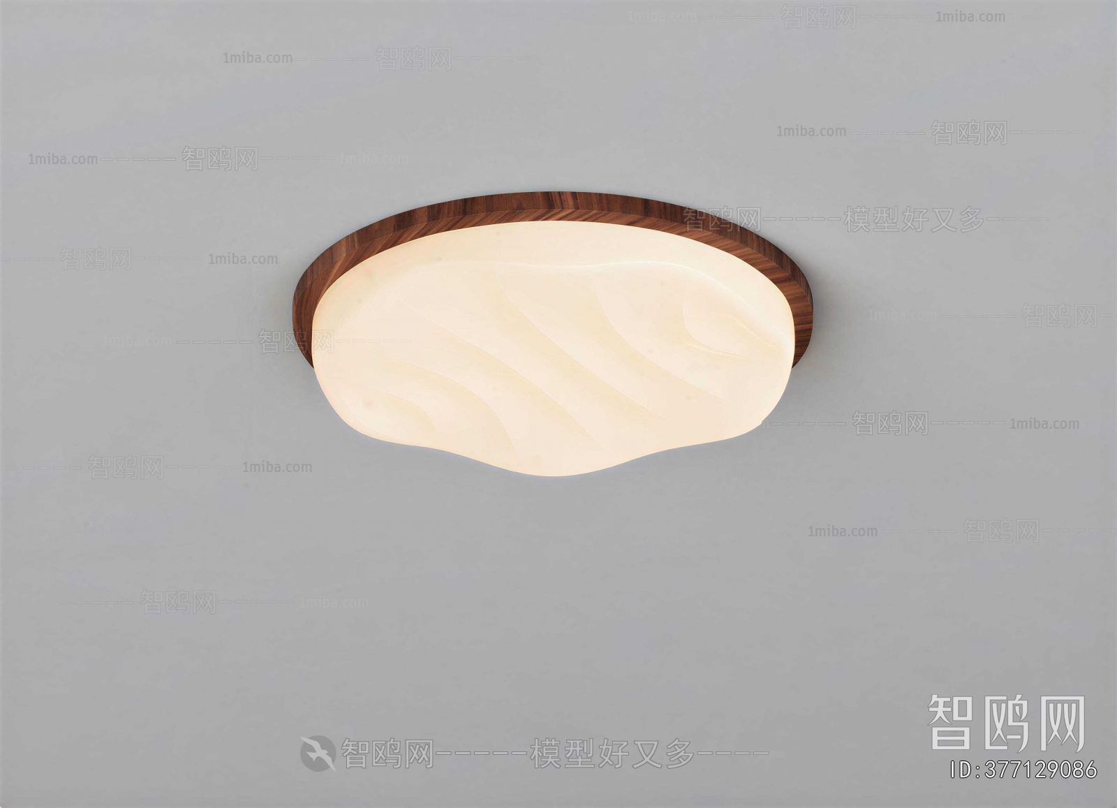 Modern Ceiling Ceiling Lamp