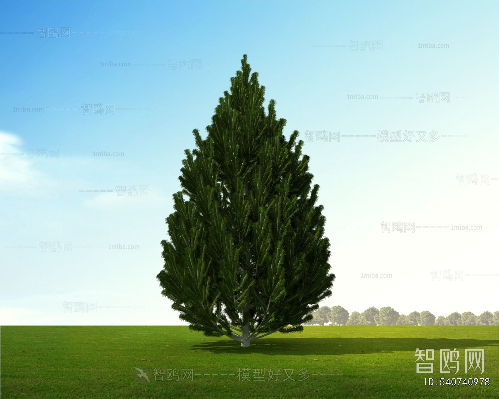 Modern Tree/shrub/grass