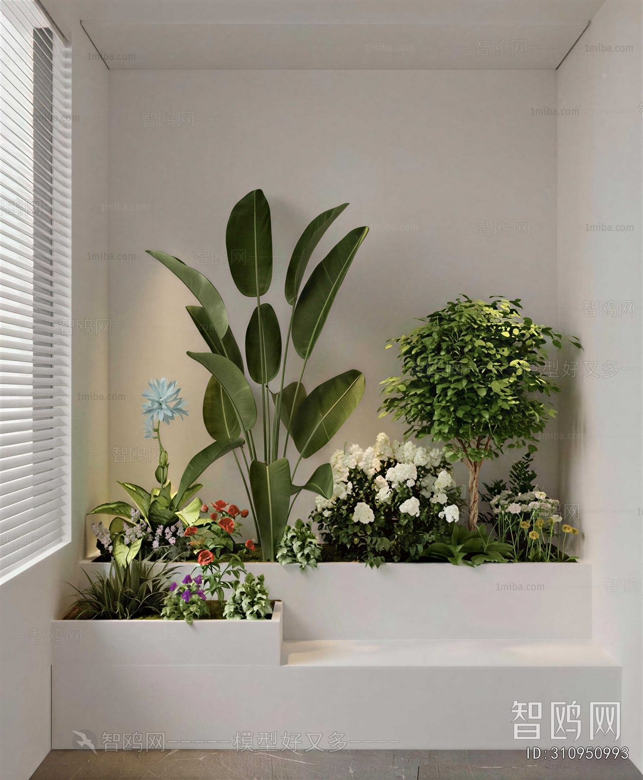 Modern Plant Landscaping