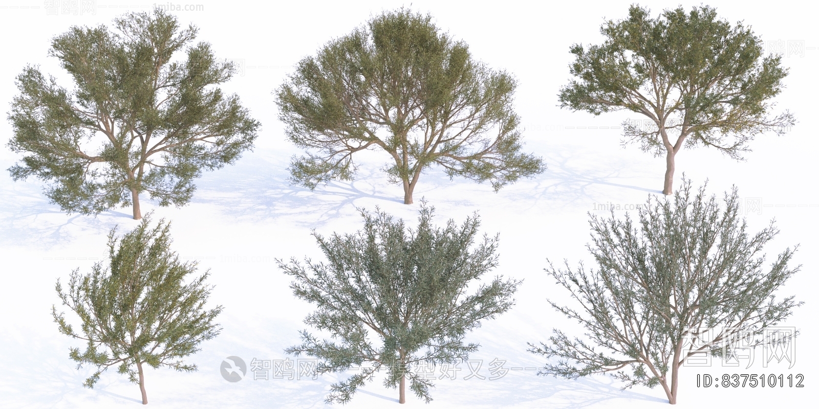 Modern Tree