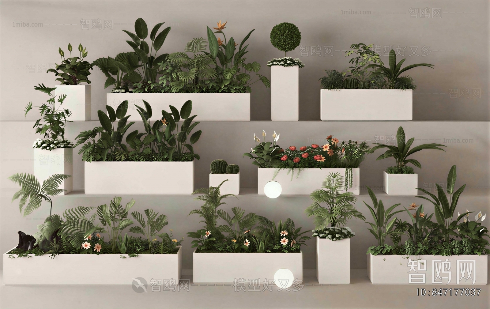 Modern Flower Bed, Flower Bowl, Flower Box