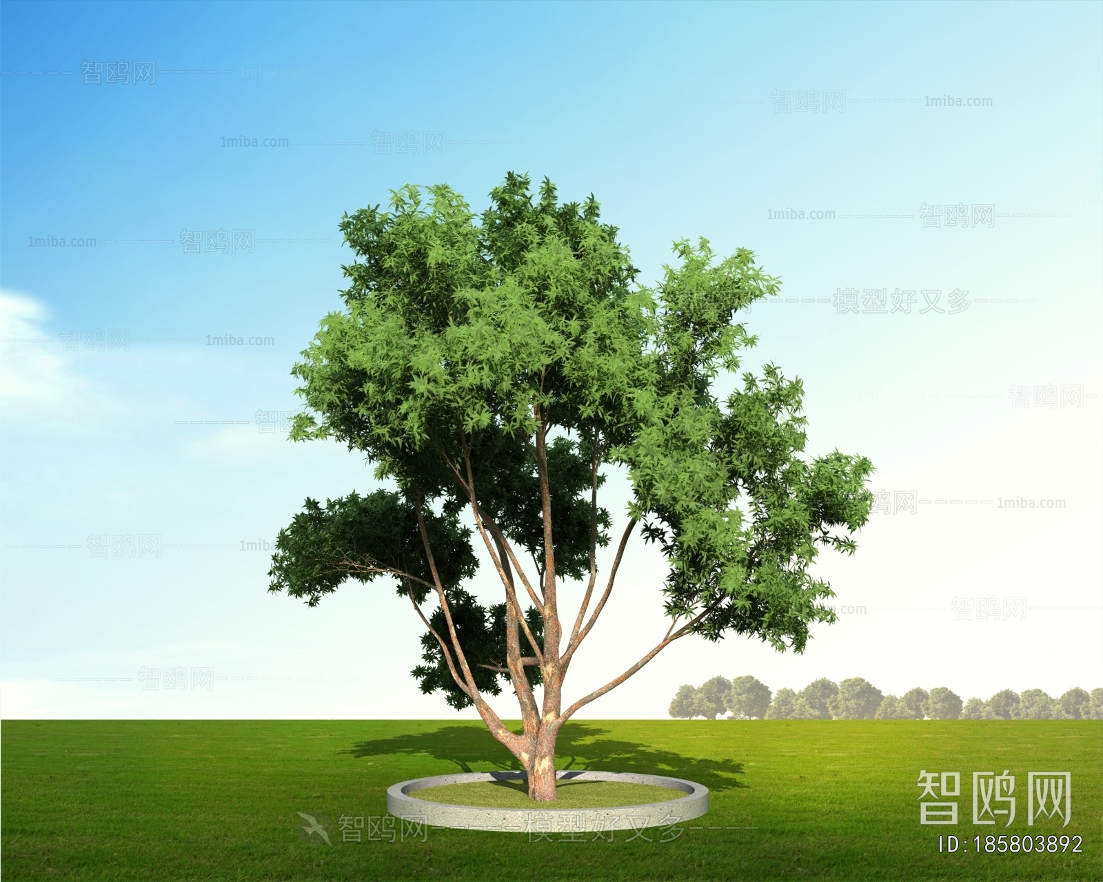Modern Tree